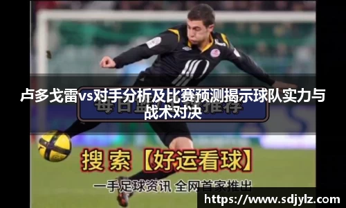 易倍体育官方网站