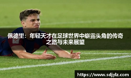 emc体育官方下载