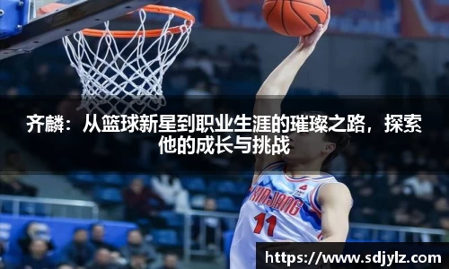 易倍体育官方网站