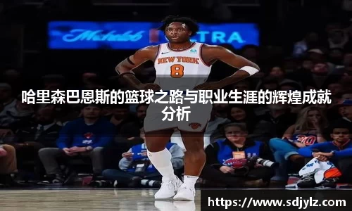 易倍体育官网登录入口