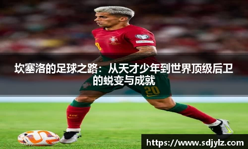 坎塞洛的足球之路：从天才少年到世界顶级后卫的蜕变与成就